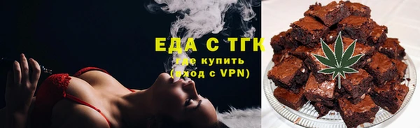 индика Медногорск