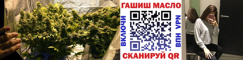 ТГК гашишное масло  shop официальный сайт  Калининград  где купить  