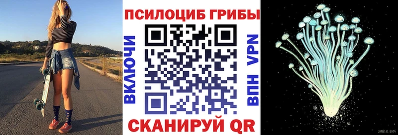 закладки  Калининград  Галлюциногенные грибы Psilocybine cubensis 