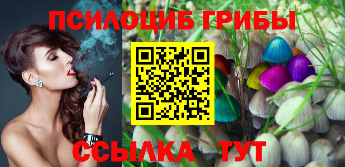 Псилоцибиновые грибы GOLDEN TEACHER Калининград