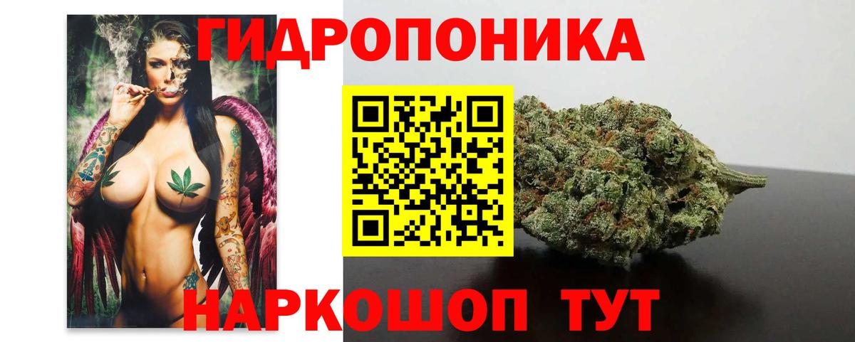 Каннабис семена Калининград